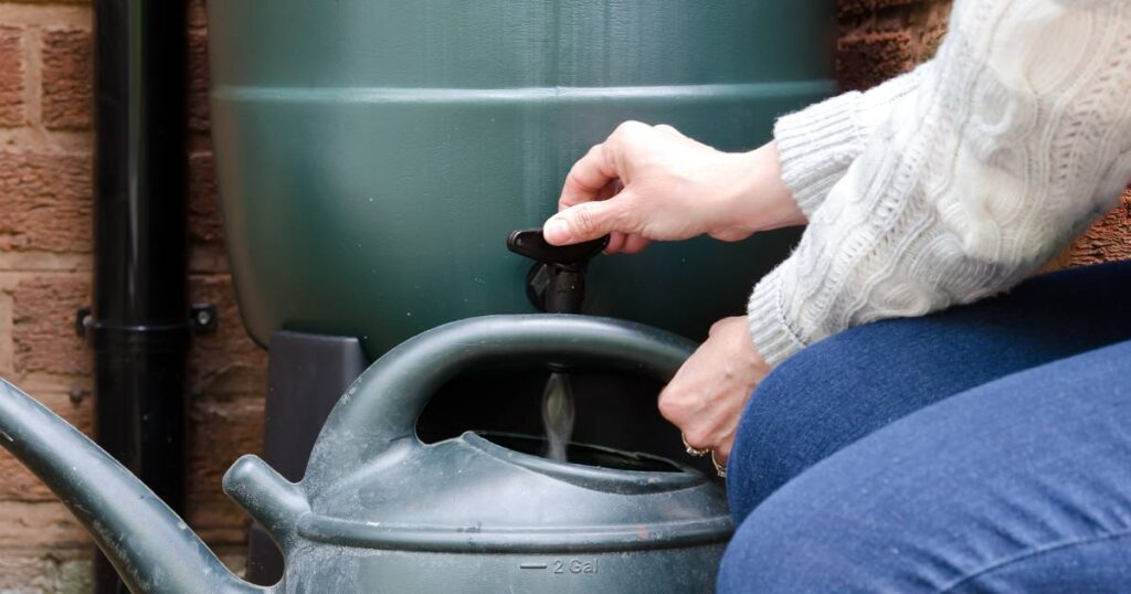utilisation d'eau de pluie récupérée
